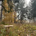 Kolbatzer Muehle Gæstehus Lychen