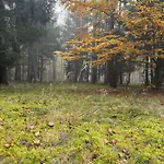 Kolbatzer Muehle Lychen
