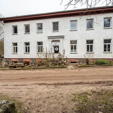 Kolbatzer Muehle Лихен