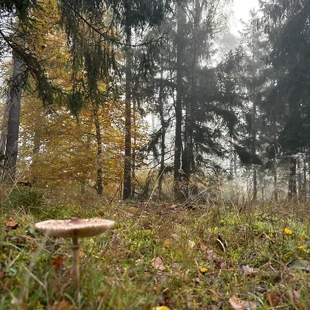 Kolbatzer Muehle Πανσιόν 3*
