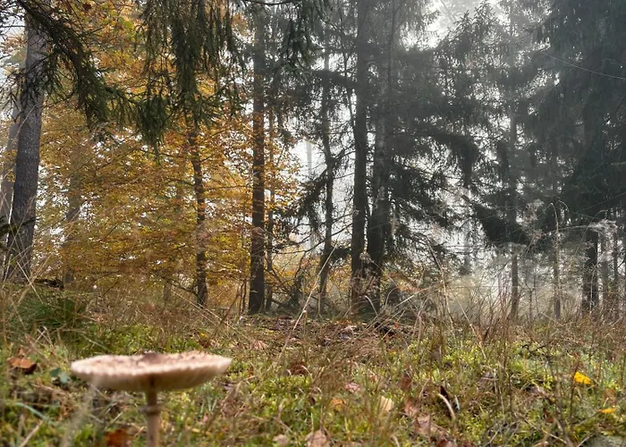 Kolbatzer Mühle Pensión Lychen